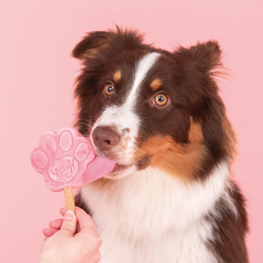 Watermelon Dog Ice Cream Mix