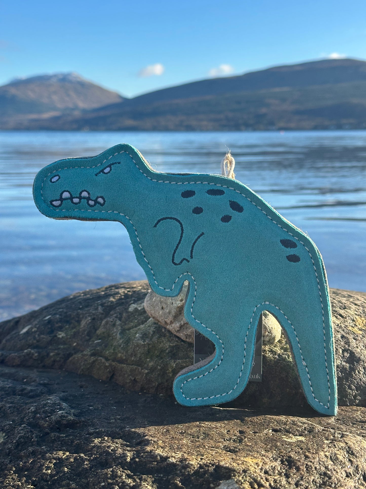 Terry Tyrannosaurus Rex