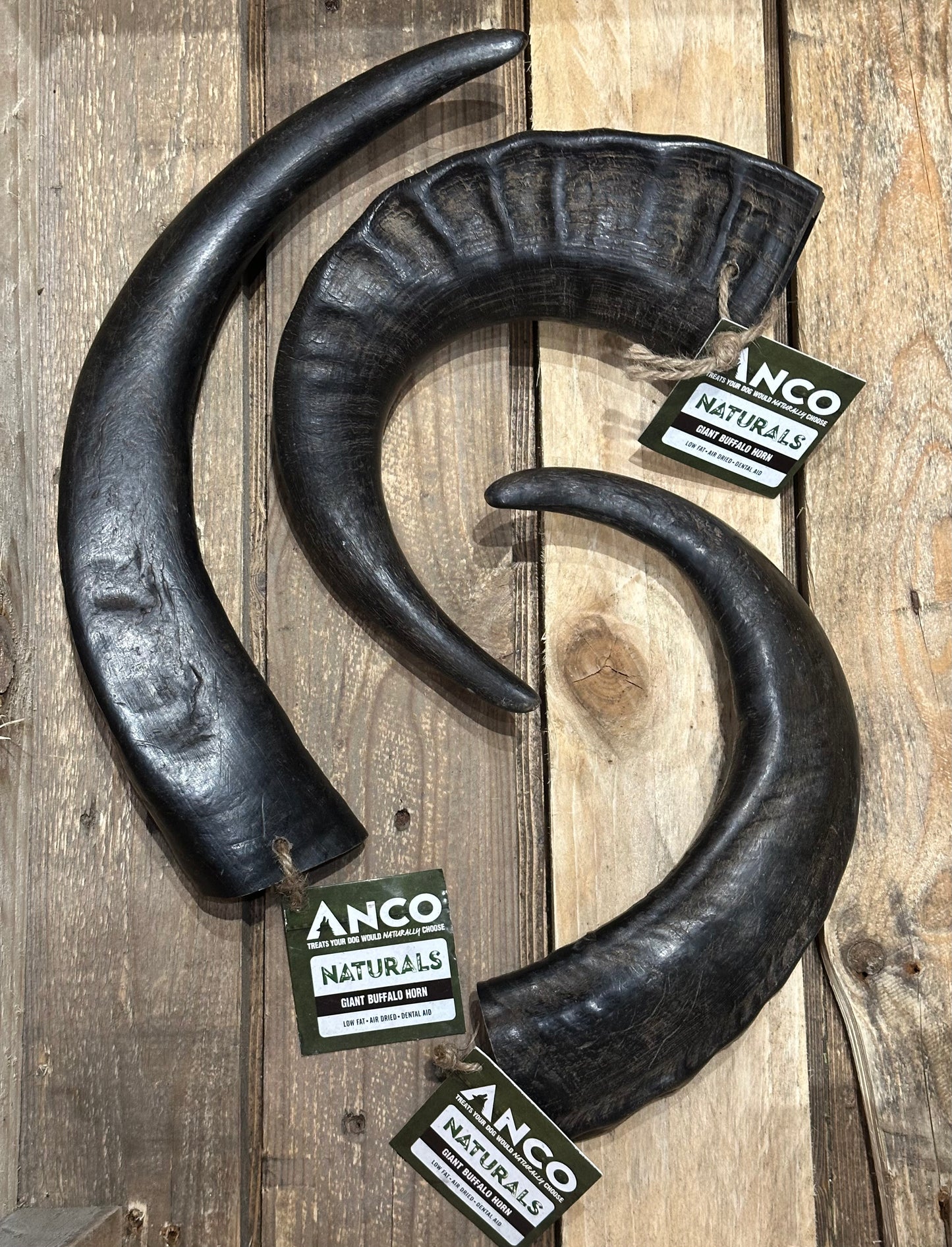 Buffalo Horn
