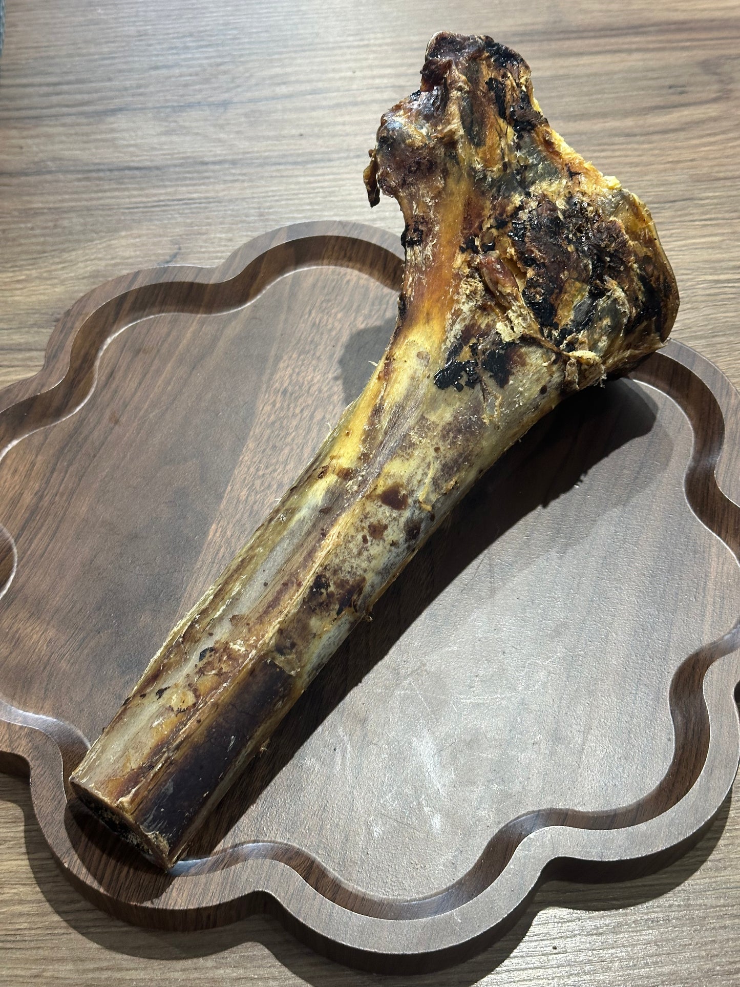 Ostrich Tibia Bone