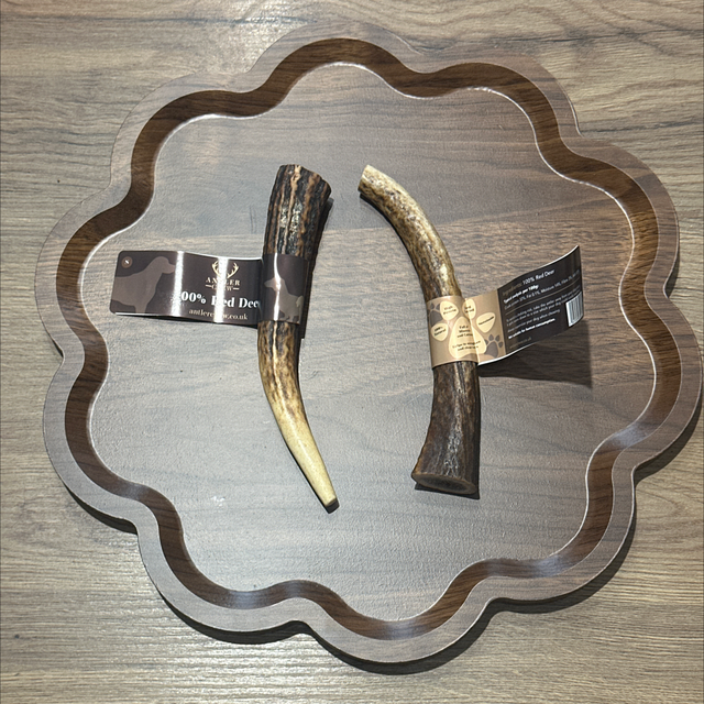 Red Deer Antler
