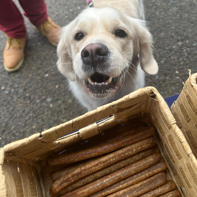 Pure Salmon Stick