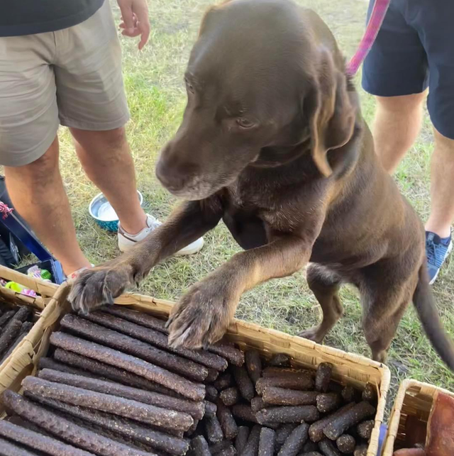 Venison Stick