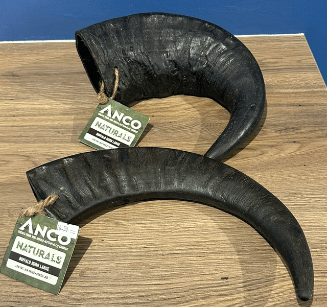 Buffalo Horn