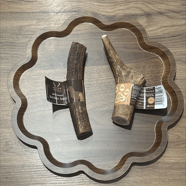 Red Deer Antler