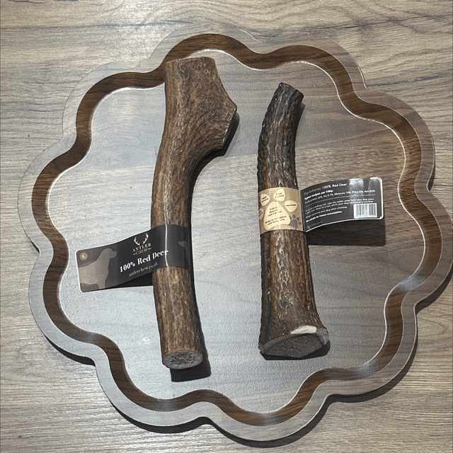 Red Deer Antler