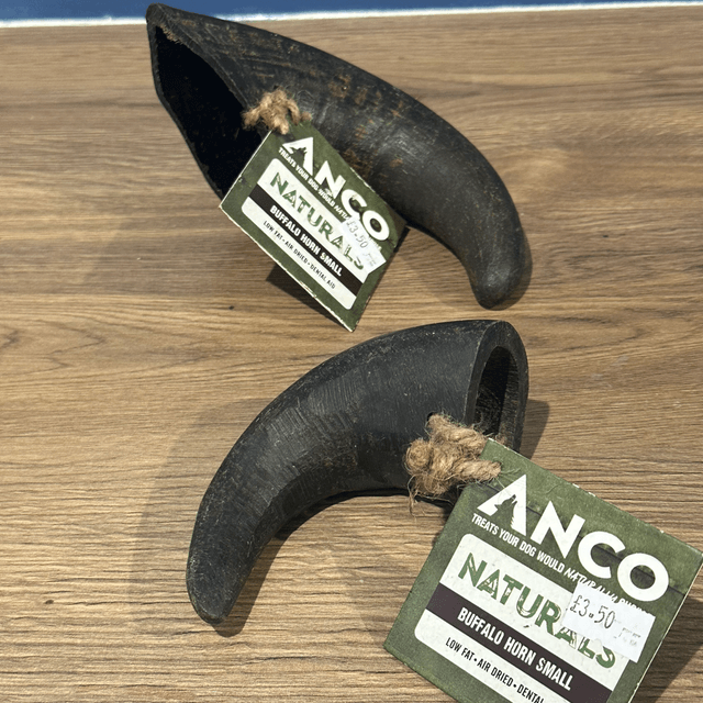 Buffalo Horn