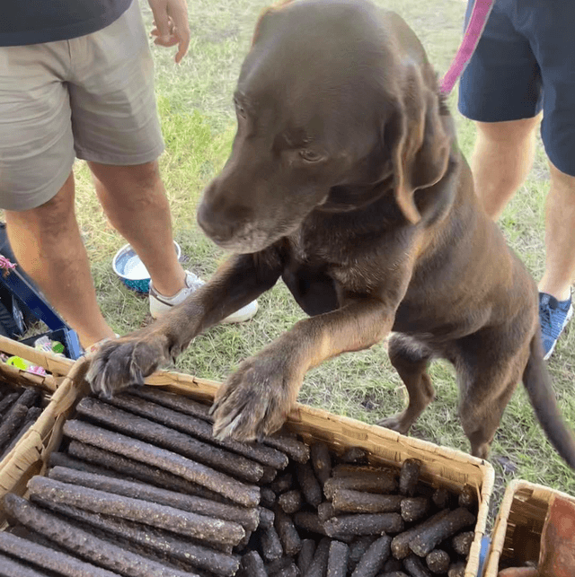 Venison Stick