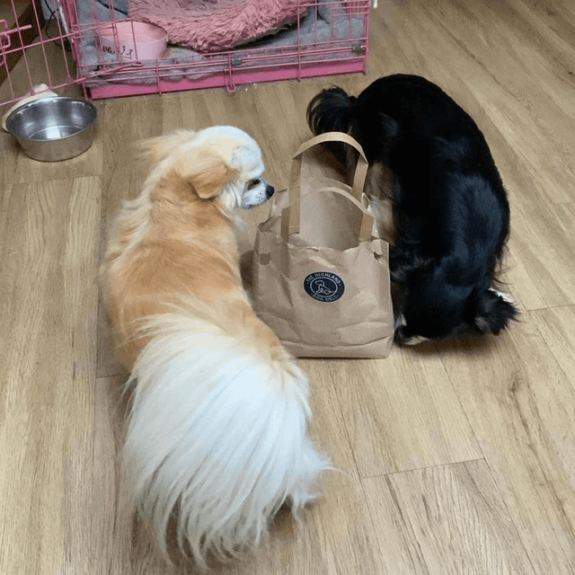 Made up bag