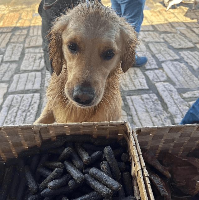 Venison Sausage
