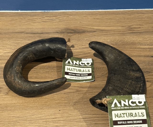Buffalo Horn