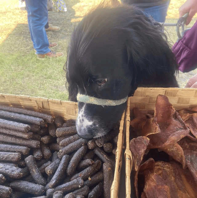 Venison Sausage