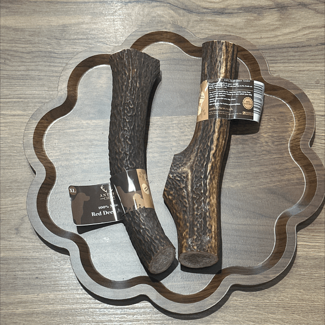 Red Deer Antler