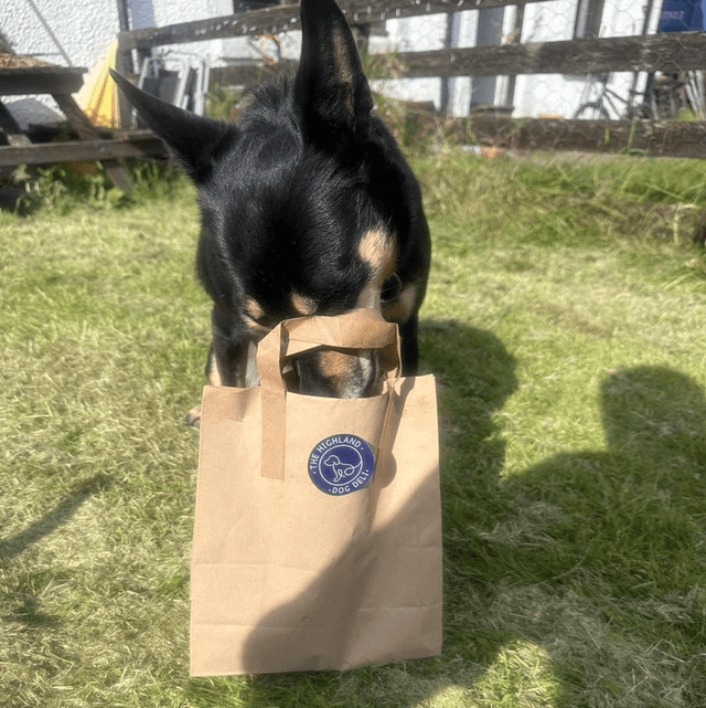 Made up bag