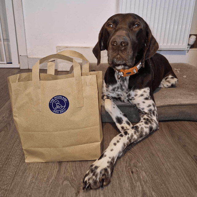 Made up bag