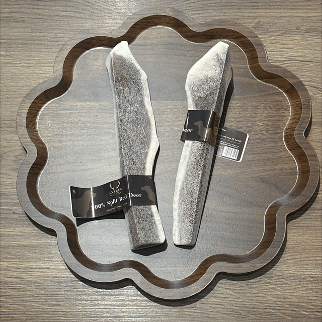 Split Red Deer Antler