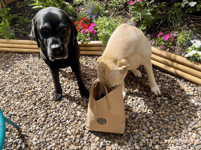 Made up bag
