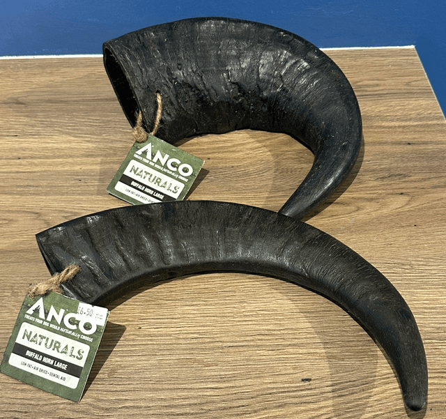Buffalo Horn