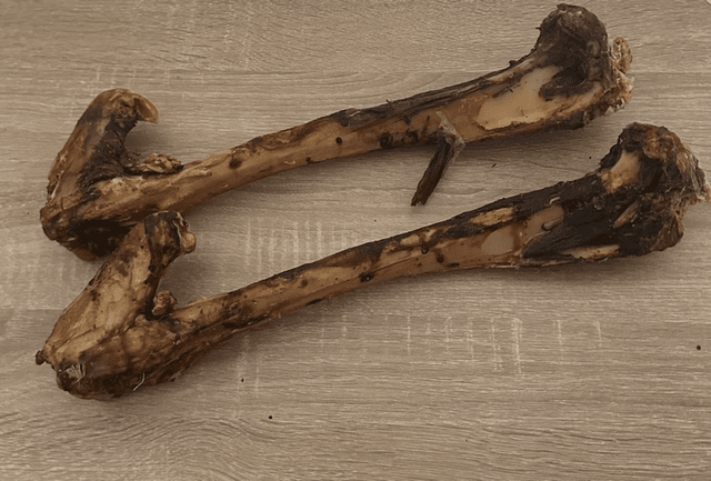 Venison Bone 