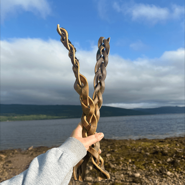 Giant Camel Braid