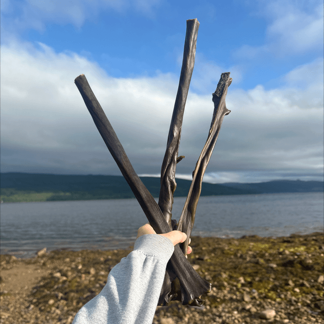 Giant Deer Stick