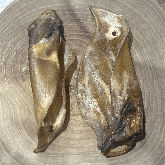 Buffalo Ear