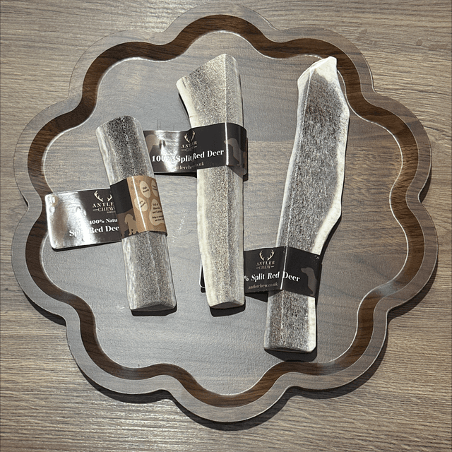 Split Red Deer Antler