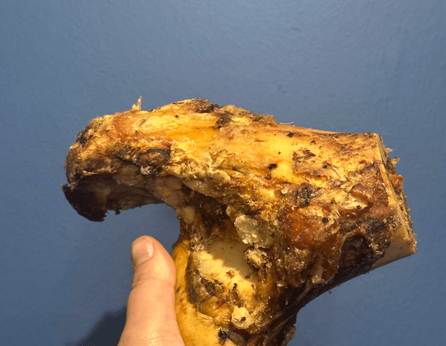 Beef Knuckle Bone 