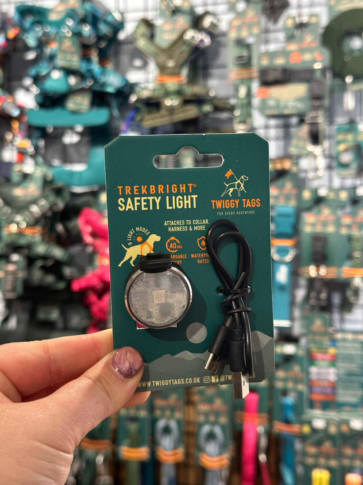 TrekBright® Dog Safety Light
