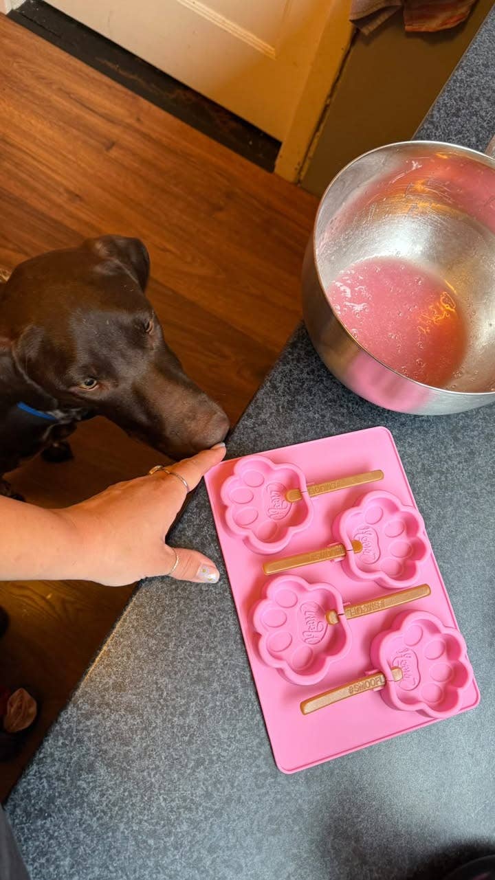 Strawberry Dog Ice Cream Mix