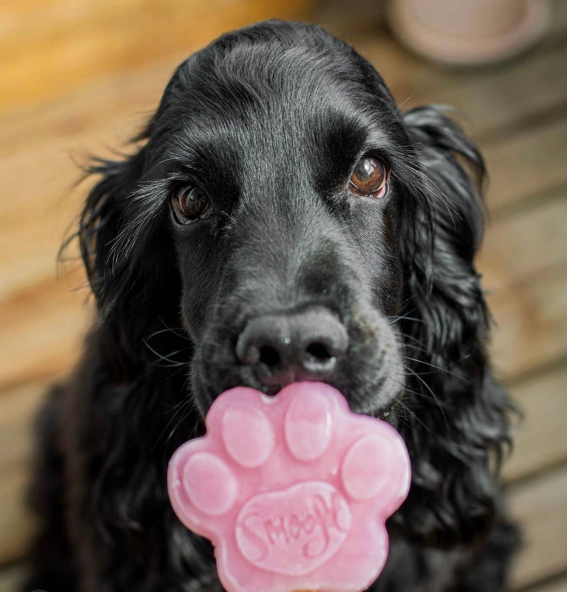 Strawberry Dog Ice Cream Mix