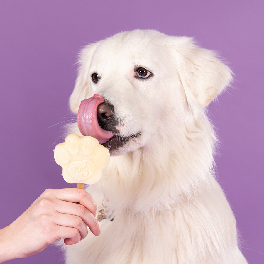 Banana Dog Ice Cream Mix