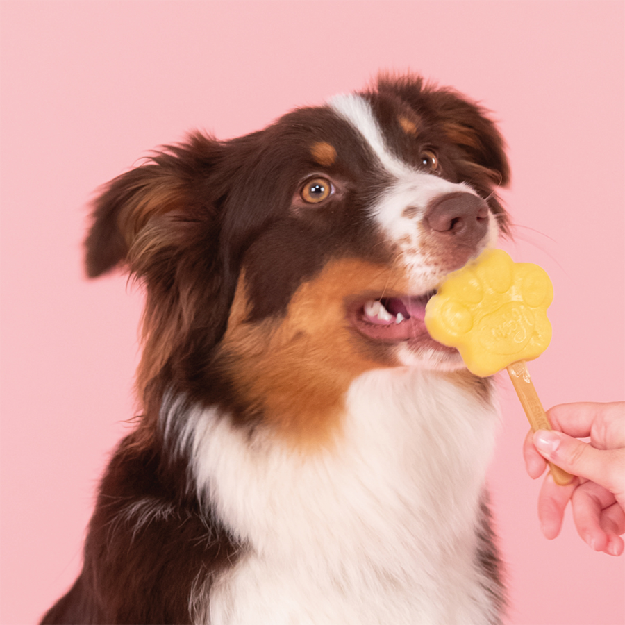 Apple Dog Ice Cream Mix