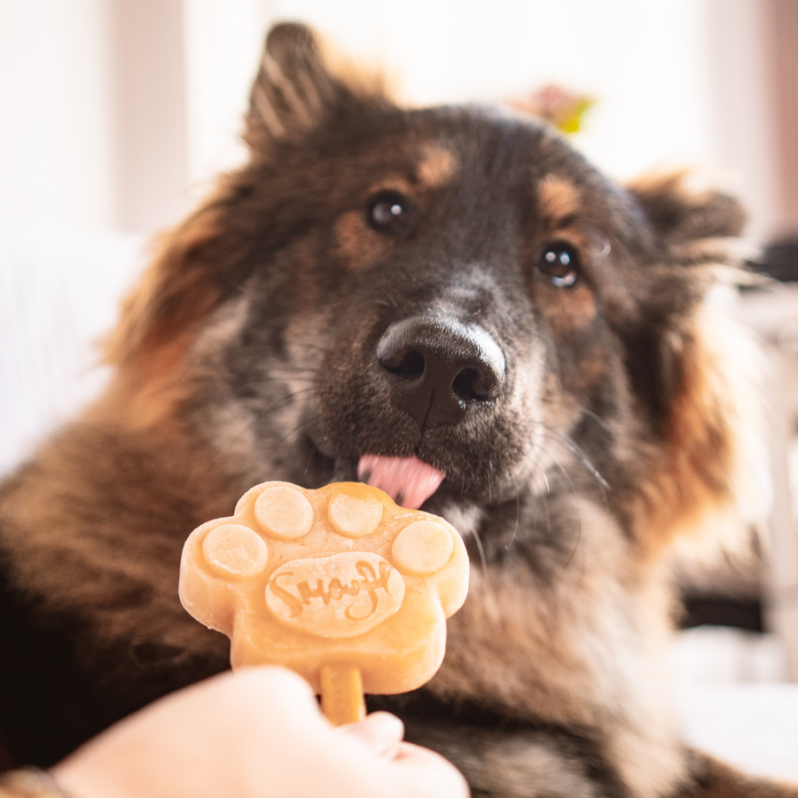 Caramel Dog Ice Cream Mix