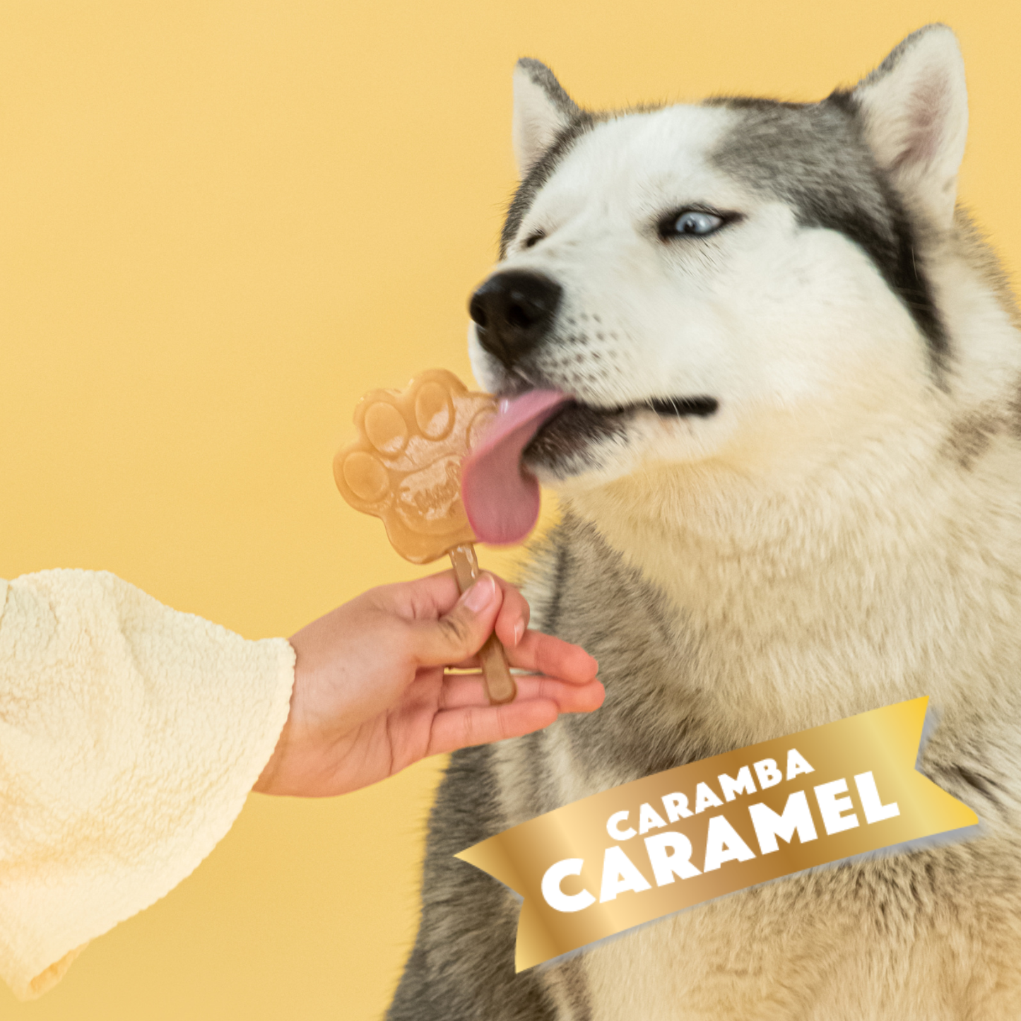 Caramel Dog Ice Cream Mix
