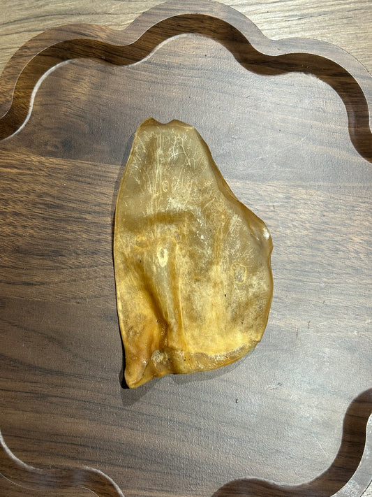 Small Cow Ear