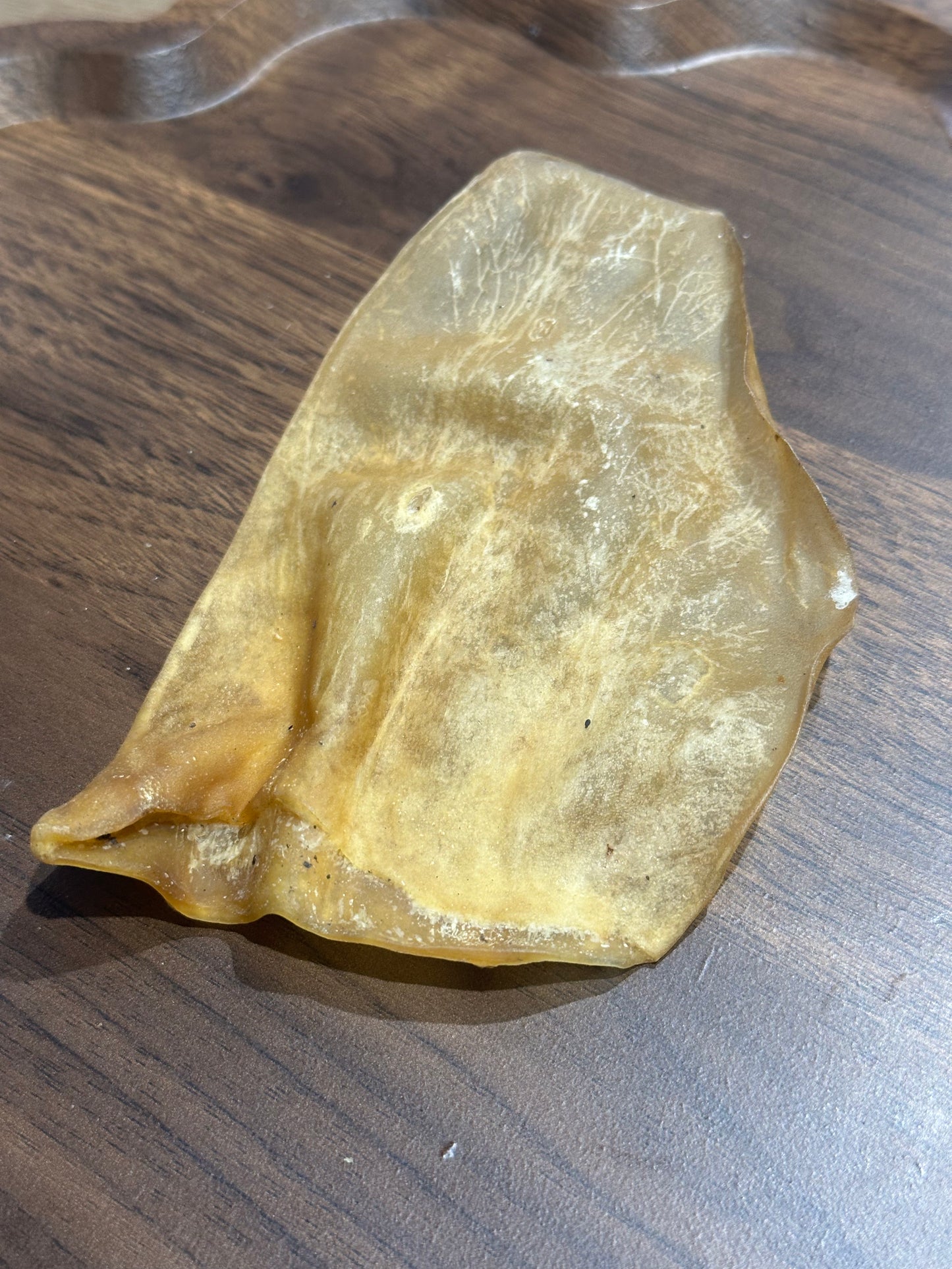 Small Cow Ear