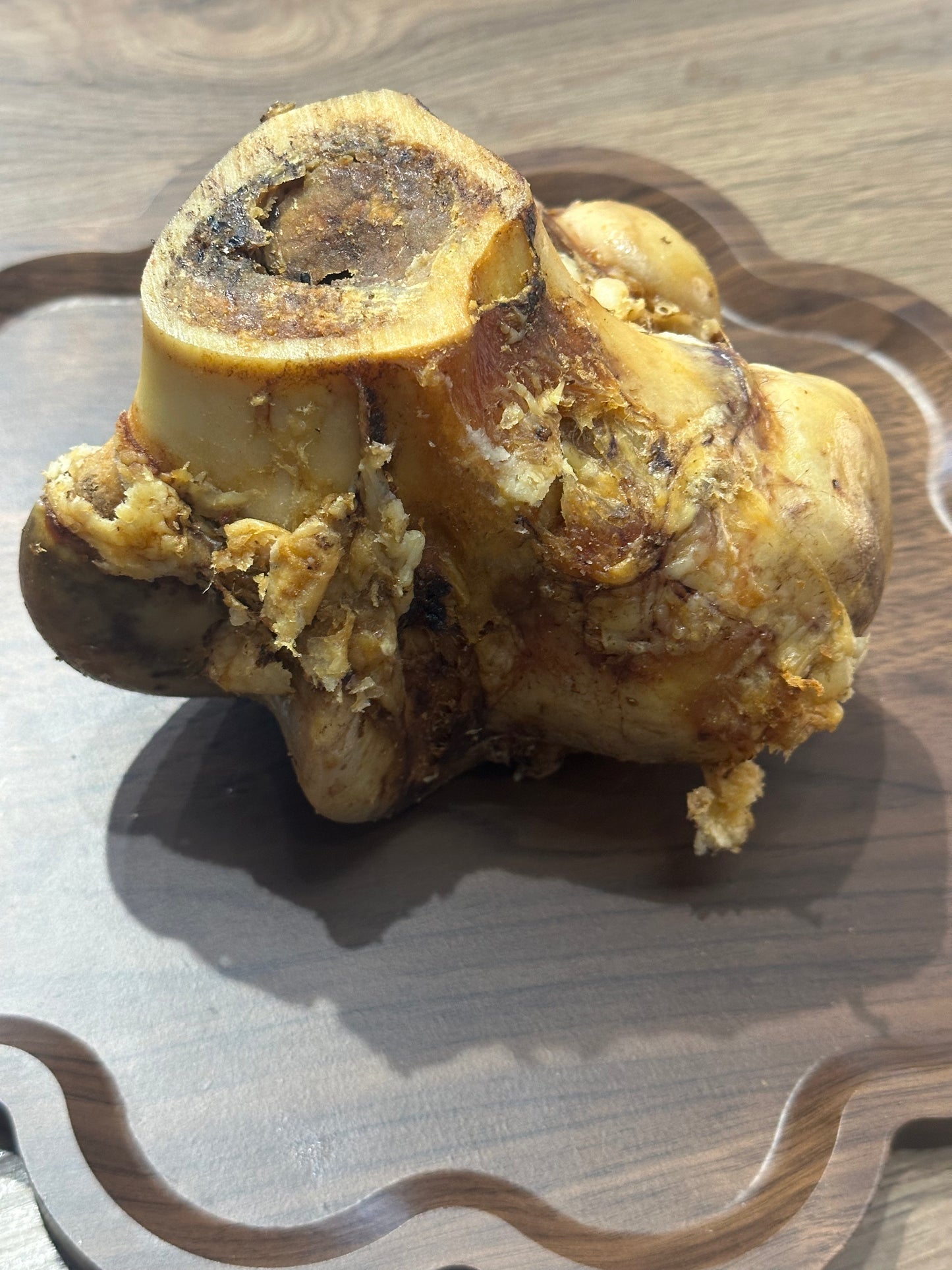 Beef Knuckle Bone