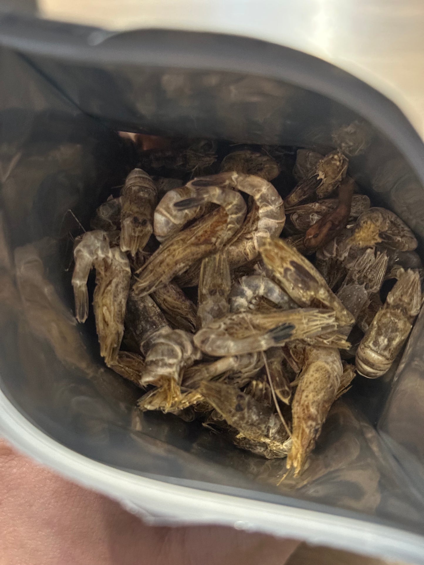 Dried Atlantic Shrimp