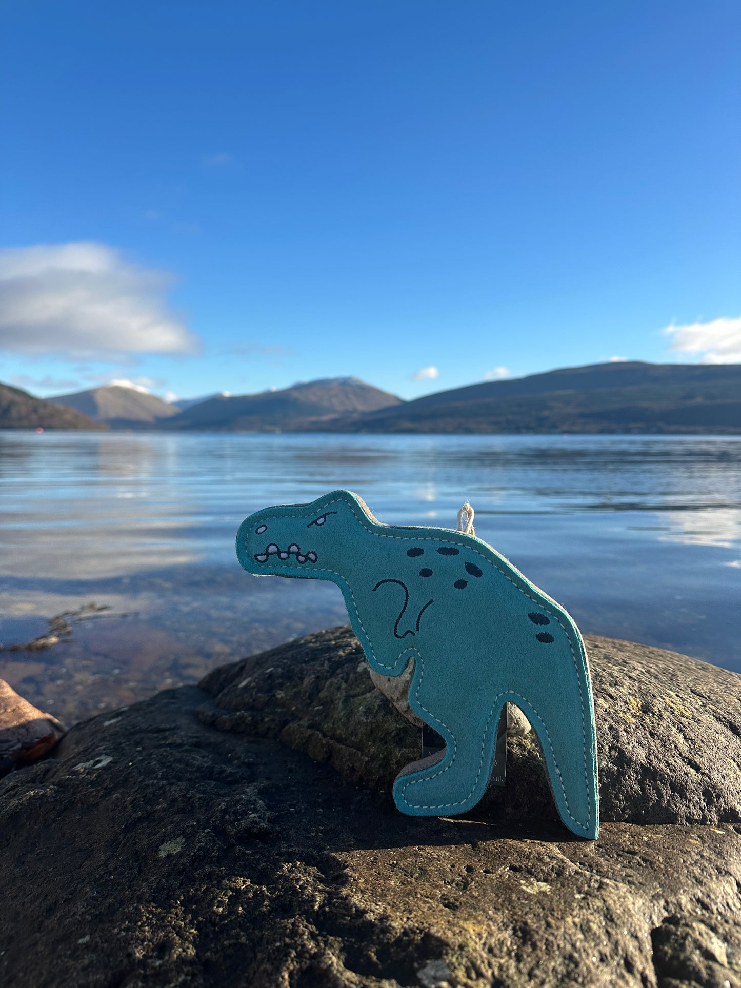 Terry Tyrannosaurus Rex