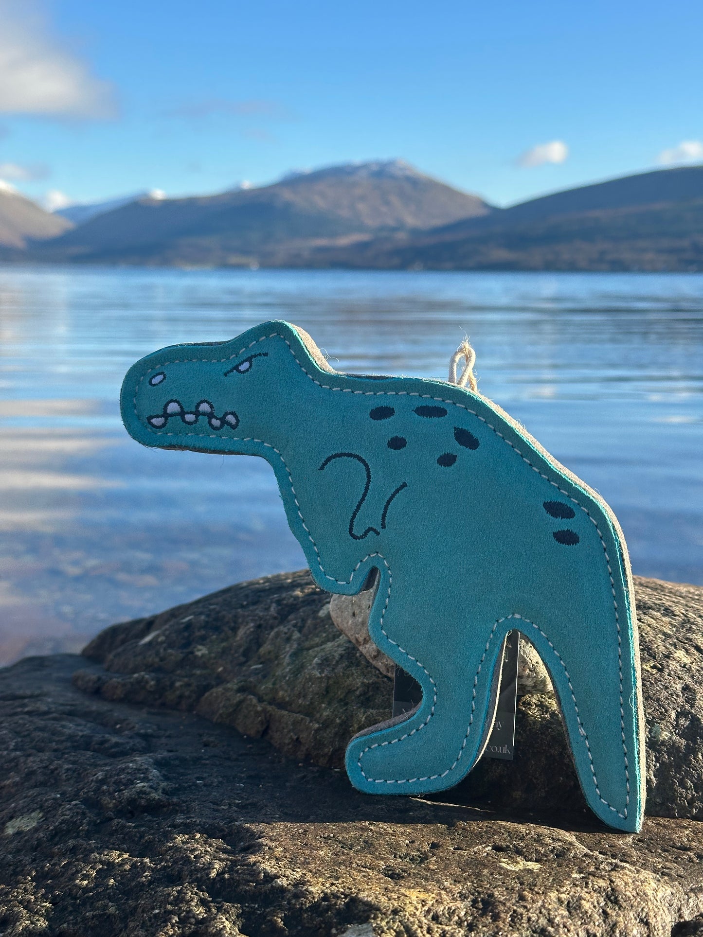 Terry Tyrannosaurus Rex