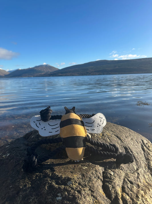 Bessie the Bumble Bee