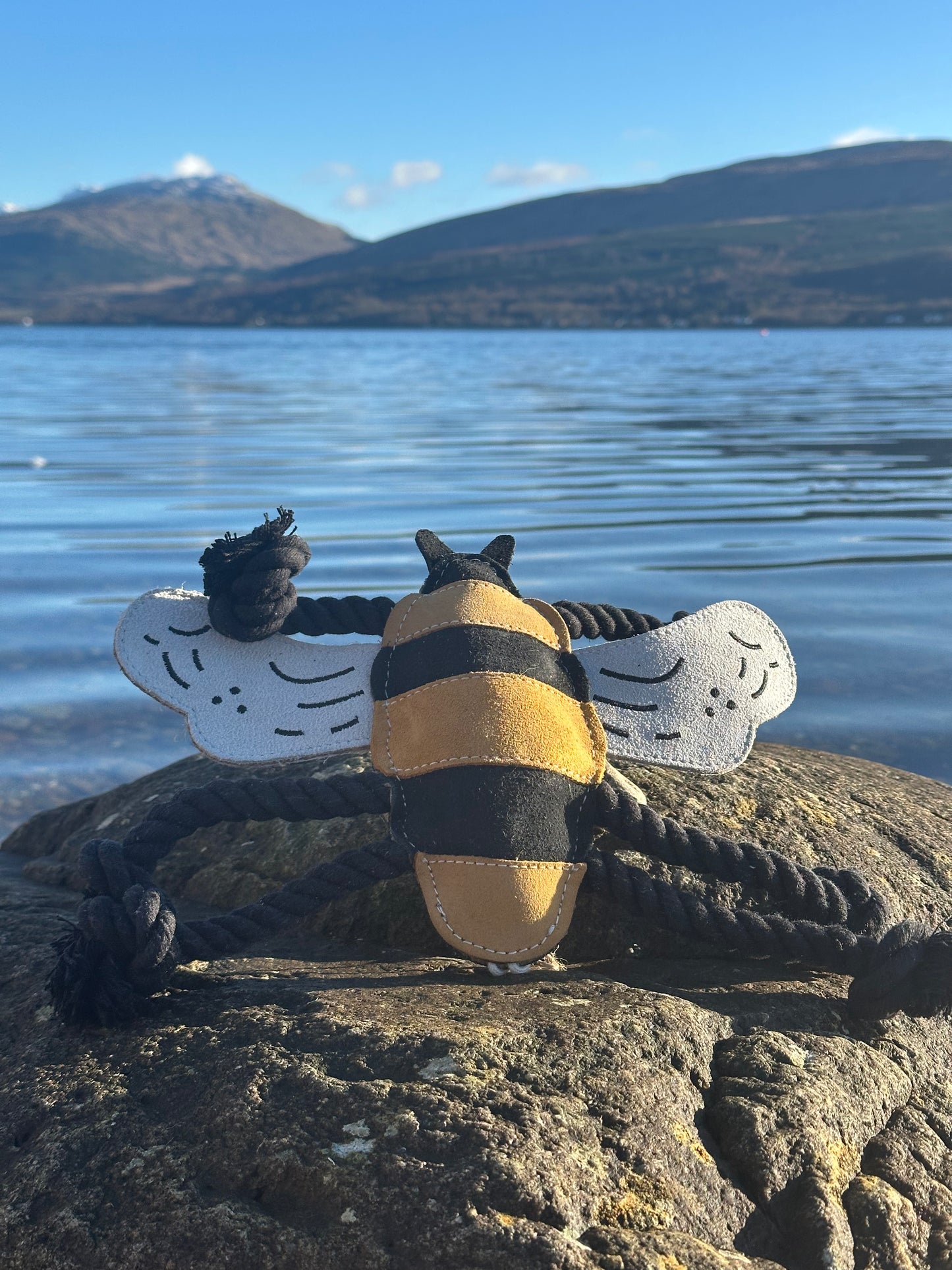 Bessie the Bumble Bee