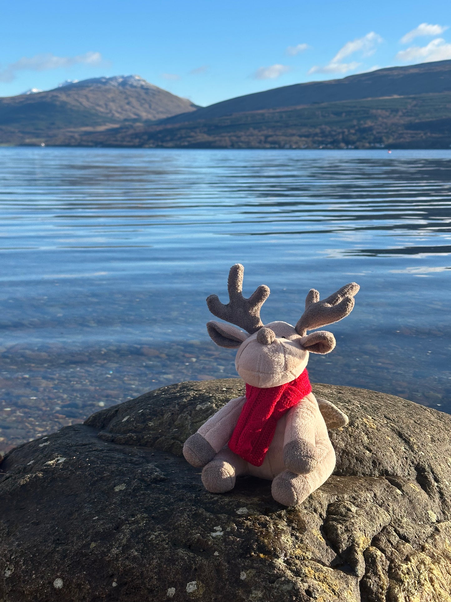 Luxury Plush and Squeaky Festive Reindeer