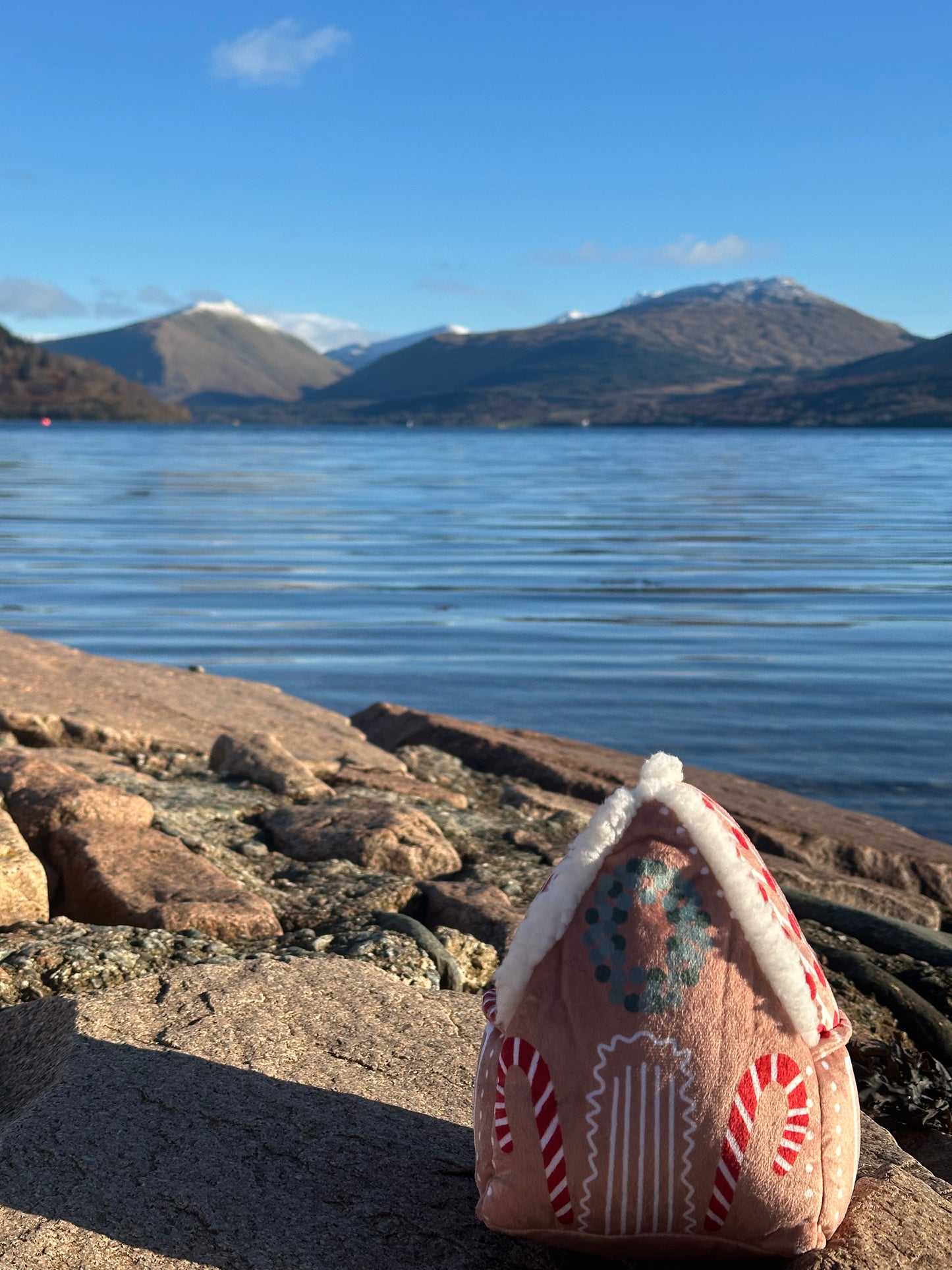 Gingerbread House Pluch