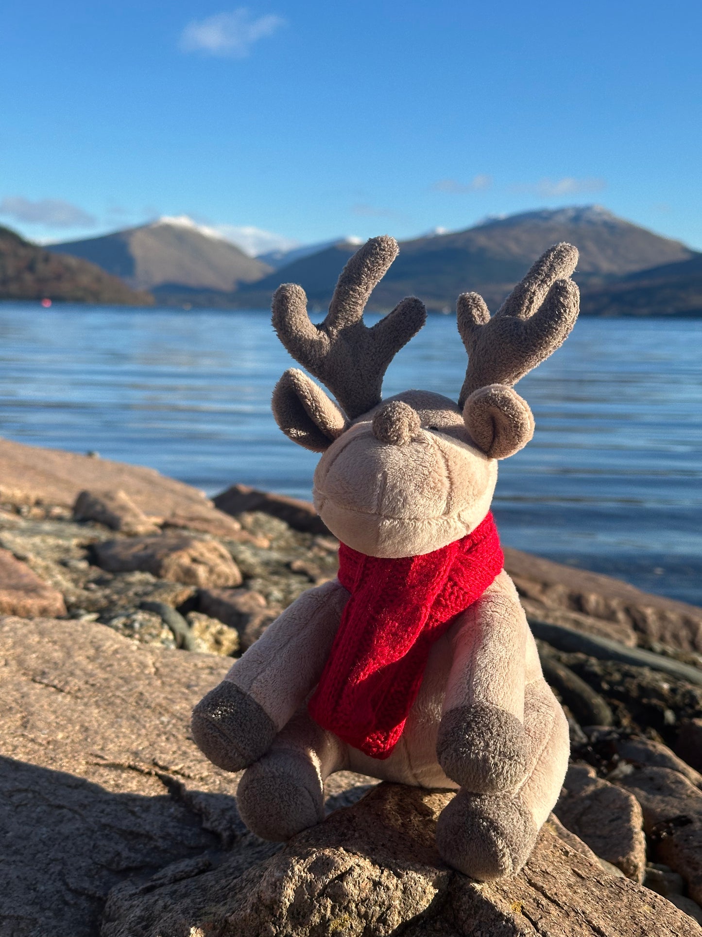 Luxury Plush and Squeaky Festive Reindeer