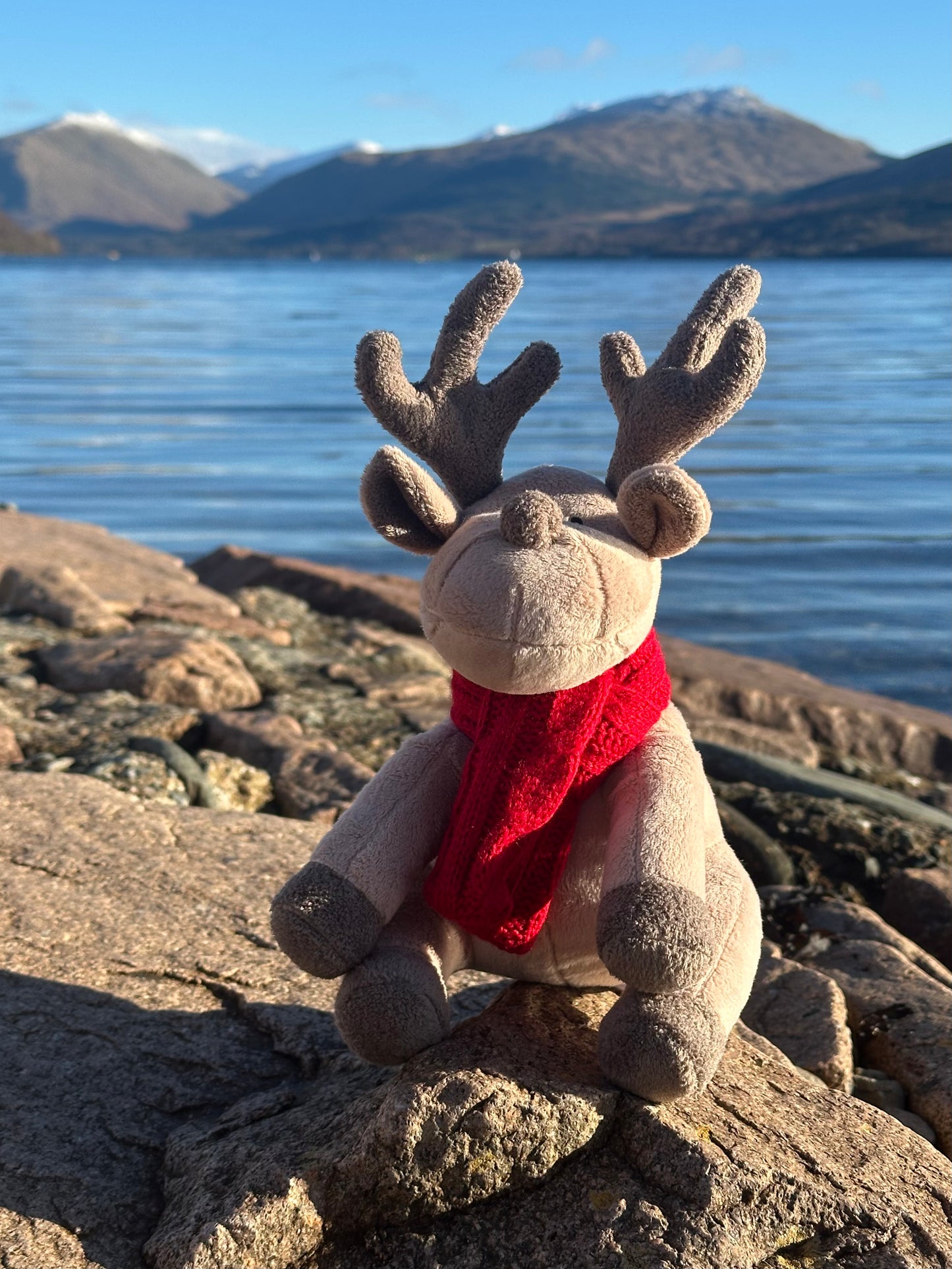 Luxury Plush and Squeaky Festive Reindeer