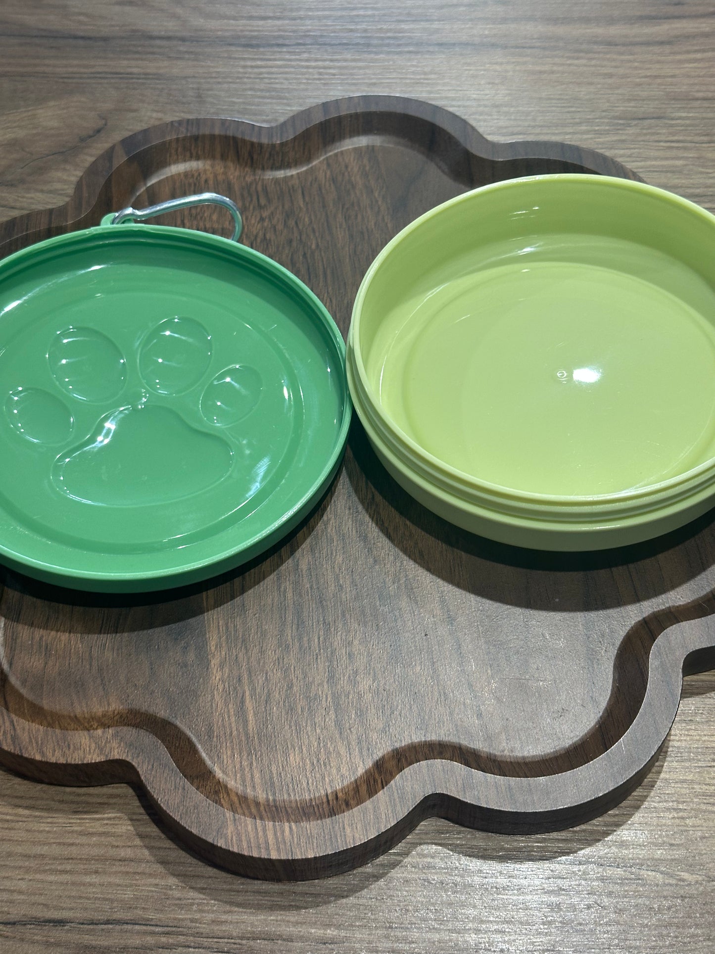 Green Adventure Snack Bowl Large