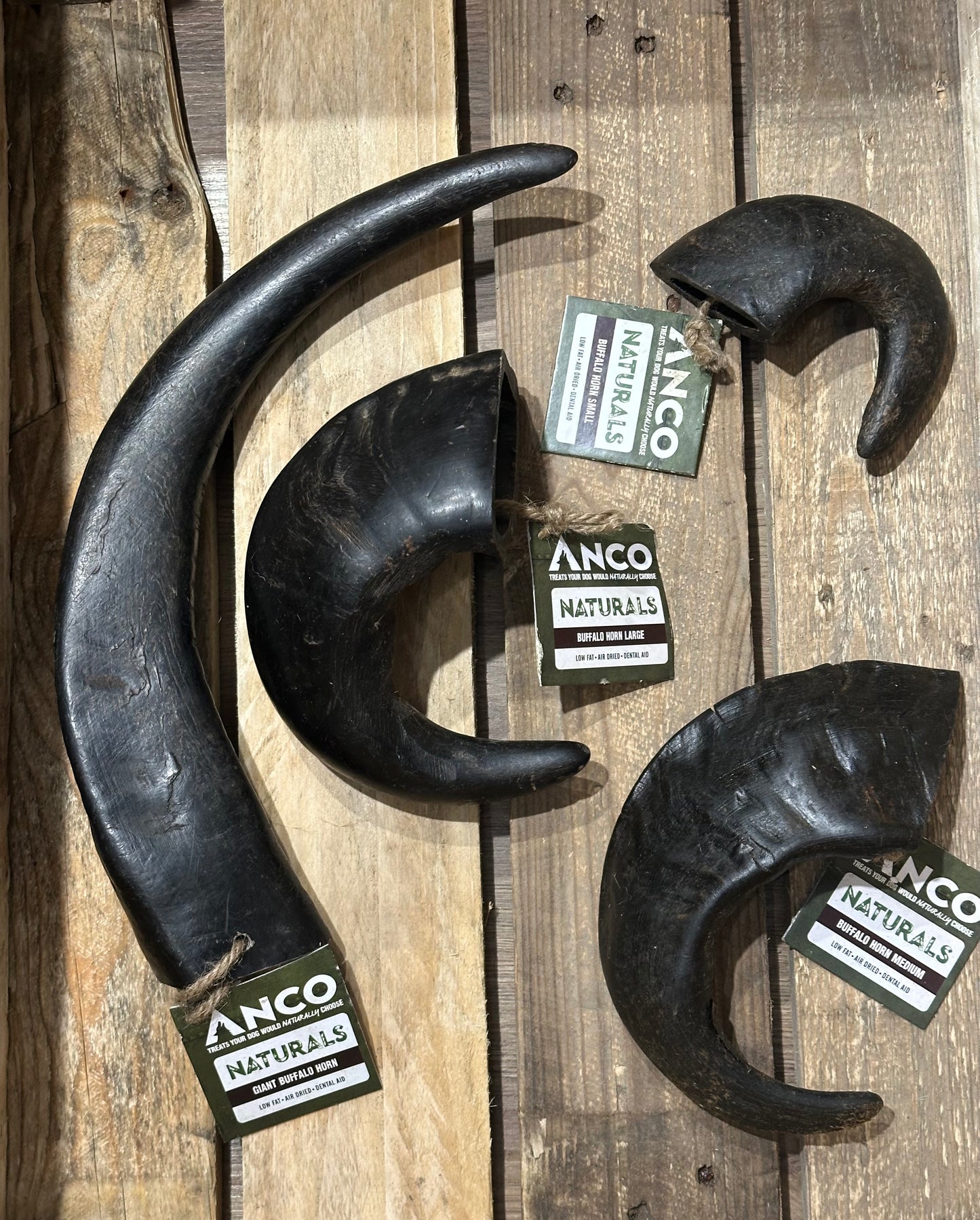 Buffalo Horn