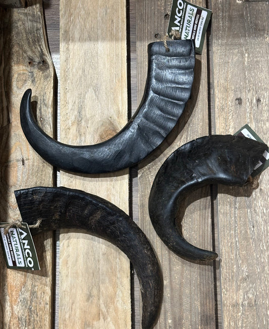 Buffalo Horn